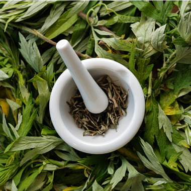 CONCEPT 女性を優しくケアする